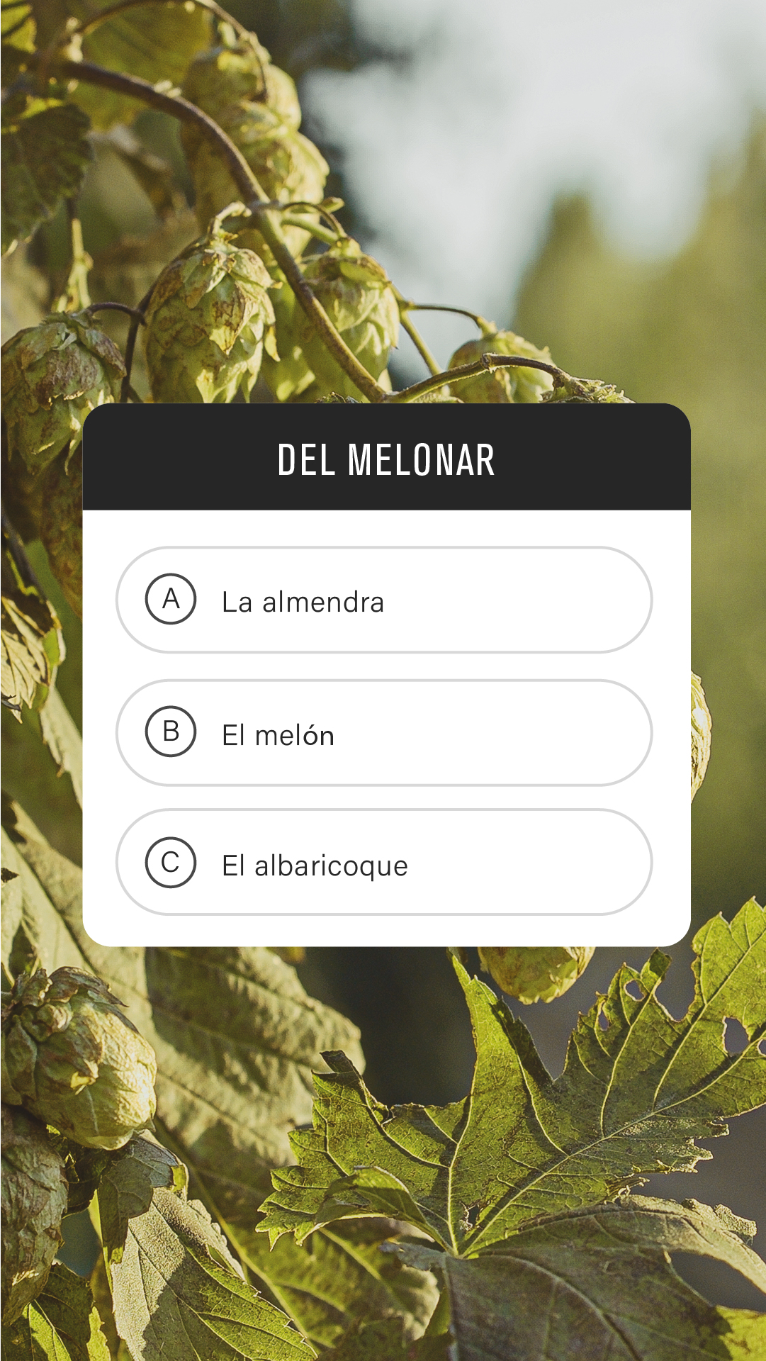 AMBAR_Story_cuestionario_2