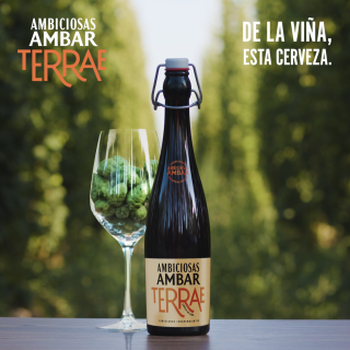AMBAR_Bodegon_Copa_Post