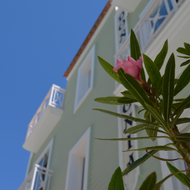 Hostal dantonia_portada-01